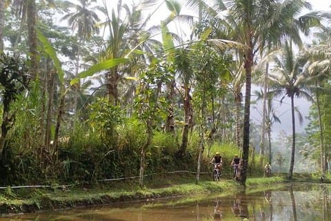 Da Monte Batur a Ubud – Avventura ciclistica leggera in fuoristrada