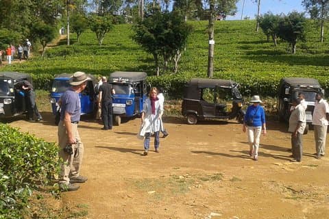 Tuk Tuk safari and Picnic in The Tea Plantation from Ella,Haputale & Bandarawela
