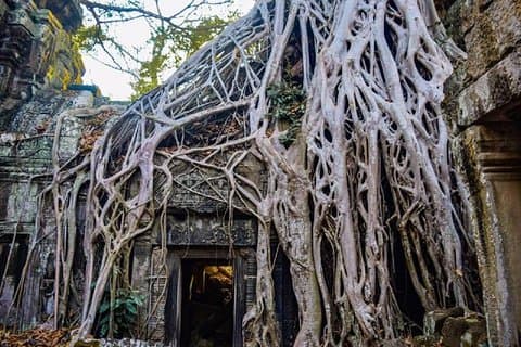 Angkor Wat 1Day Tour Med Solopgang