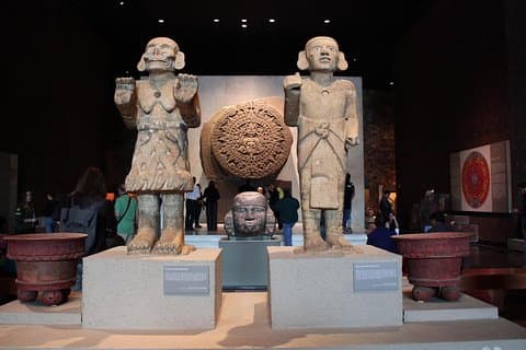 Führung durch das Anthropologiemuseum
