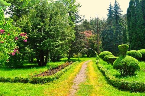 Private tour to Saghmosavank, Lori Fortress, Dendropark