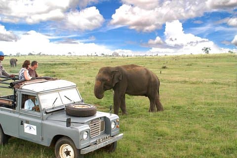 Aventura en el Parque Nacional Udawalawe