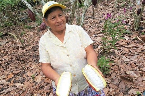 Viaje de ida desde Guayaquil a Cuenca, Ecuador, al parque Cajas y a una granja de cacao