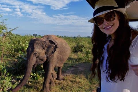 Dagtochten naar Udawalawe vanuit Bentota