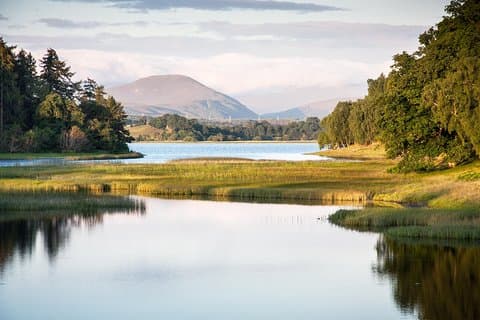 Cairngorms & Whisky-dagstur fra Inverness inklusive entré