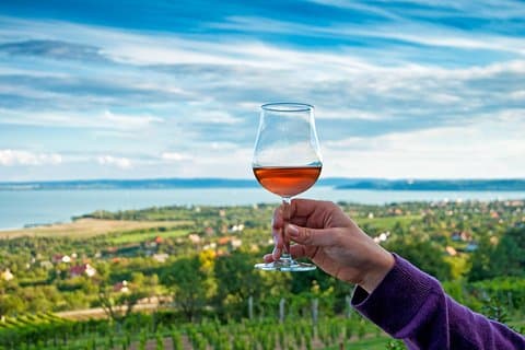 Lake Balaton Full Day Private Wine Tour