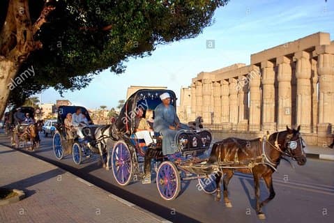 Luxor avslöjat: Discovering the City by Horse Carriage