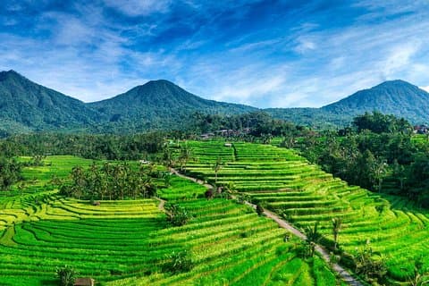 Bedugul, Jatiluwih, Tanah parti