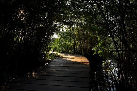 Utflykter från hamn Passagerarterminalen till Colombo Wetland Tour.