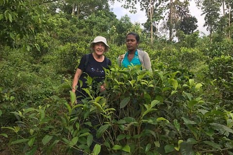 Hikkaduwa Day Tour By Tuk Tuk to Rubber, Cinnamon Plantation ,