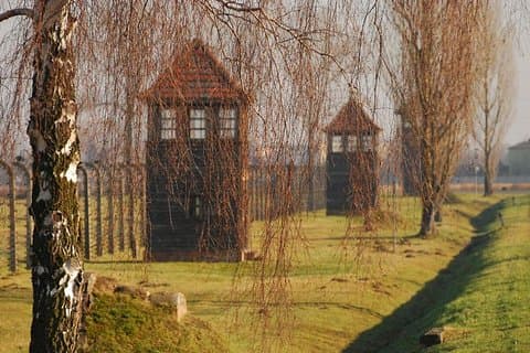 Auschwitz Guided Tour
