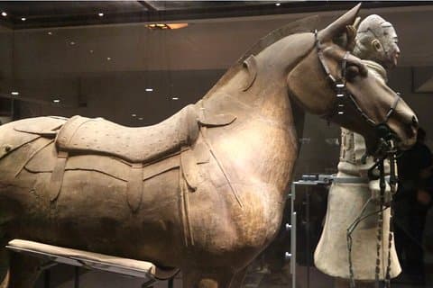 Tour privato di mezza giornata del Museo dei guerrieri e dei cavalli di terracotta di Xi'an