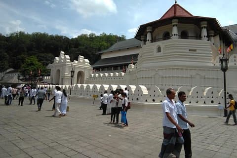 Privater Tagesausflug nach Kandy und Pinnawala mit Ihren ausgewählten Attraktionen