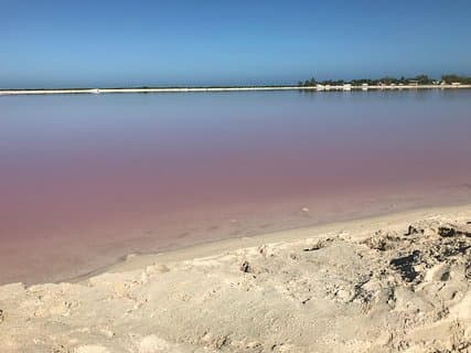 LAS COLORADAS & RIO LAGARTOS från Riviera Maya och Cancun (Privat)