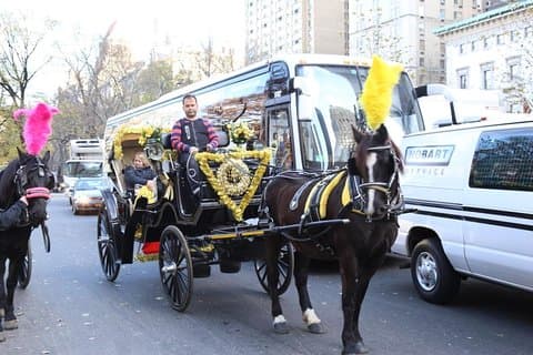 Central Park privat hestevogn tur i NYC