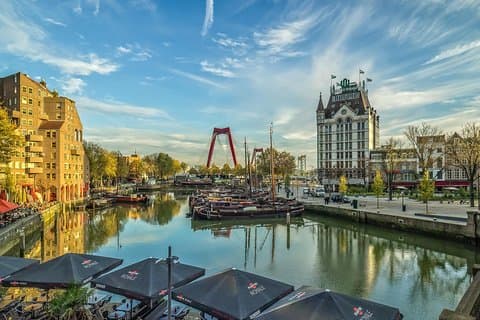 Excursão privada de um dia a Rotterdam e Zaanse Schans de carro
