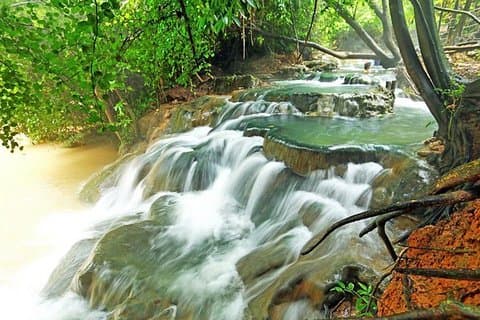Krabi Jungle Tour (Piscina de Esmeralda, Hot Spring & Tiger Cave)