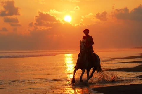 Sunset & Horses