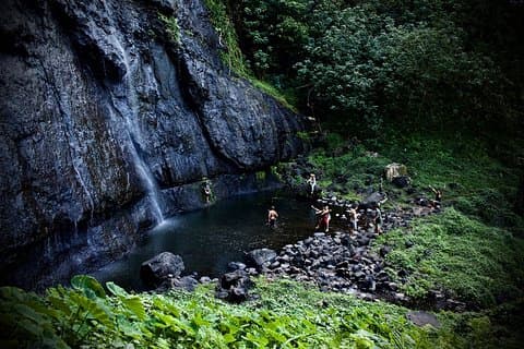 Goditi il tour di Moorea Day