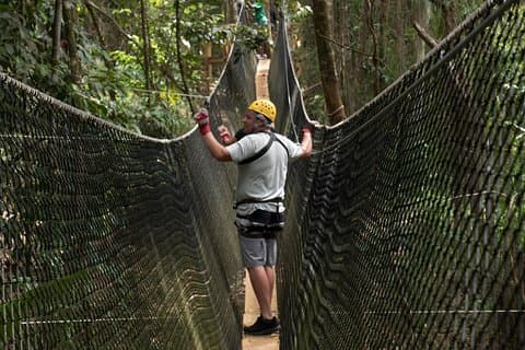 Treetop Adventure Park Canopy Tour