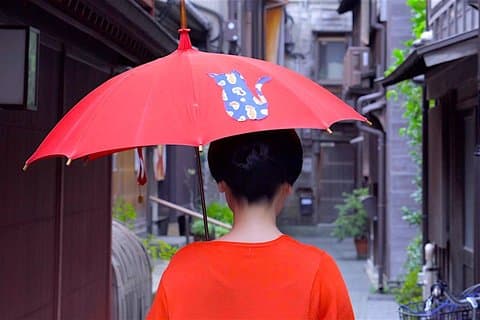 Kanazawa Half Day Tour (privégids)
