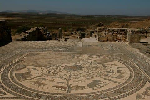 Privat turné från Fez: Meknès och Romerska ruiner av Volubilis