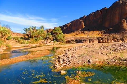 Excursion privée d'une journée complète à Ouarzazate et l'Oasis de Fint