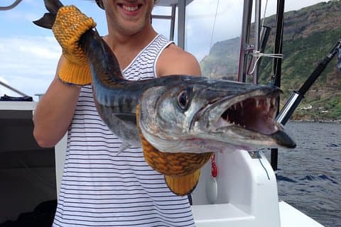 Half-Day Private Coastal Fishing Escape