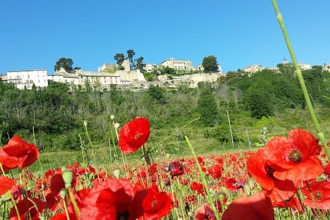 Custom Half-Day Private Tour through Provence
