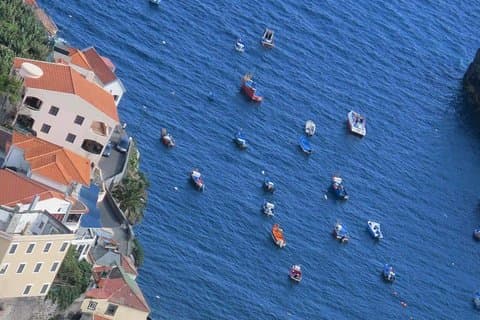 Privat halvdags morgen 4x4 tur fra Funchal