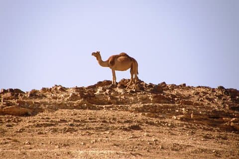 Negev Mountains Private Tour from Tel Aviv