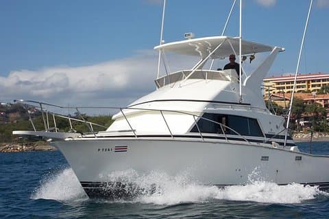 Tour di pesca sportiva di una giornata intera da Flamingo Beach