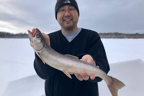 Fairbanks isfiskexpedition i en uppvärmd stuga med fiskkockout