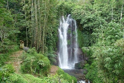 Tour de senderismo por las cascadas Munduk