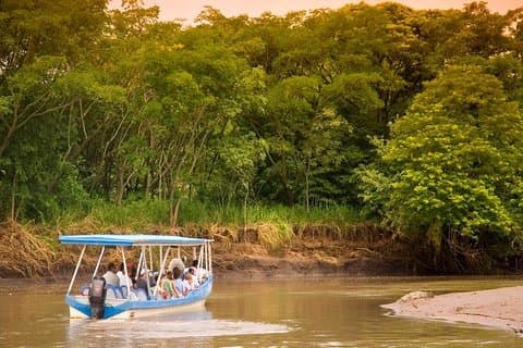 Palo Verde Wildlife Tour von Playa Hermosa-Coco Beach