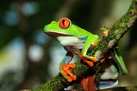 Visite photographique au Natura Eco Park