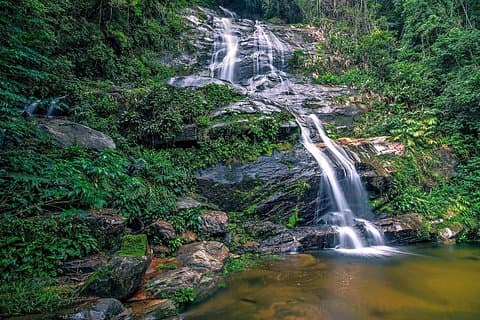 Tour privato della foresta di Tijuca e del Cristo Redentore
