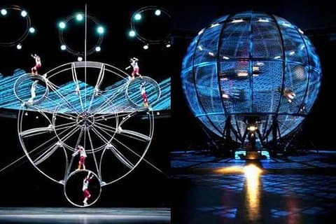 Private Shore Excursions: Acrobatic Show and Dim Sum Tasting