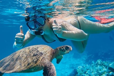 Excursión Makena-Wailea Explorer en Maui