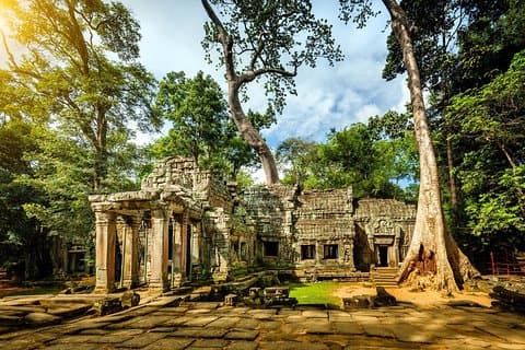 Följ med på utflykten i Angkor-templet och små gruppturer
