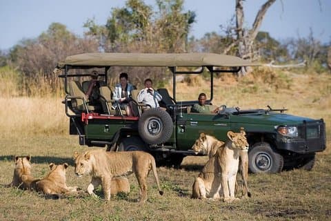 Chobe Ganztagesausflug von den Victoria Falls