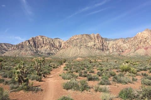 Geführte oder selbstgeführte Road Bike-Tour durch den Red Rock Canyon