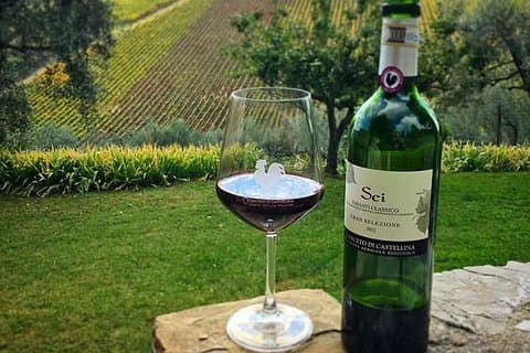 Excursão às vinícolas de Siena e Chianti pela Van privada de luxo de Florença