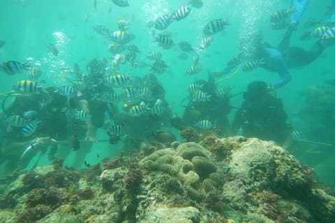Salto delle spiagge di Bali - Tempio di Uluwatu