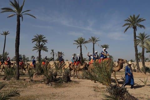 1-Hour Camel Ride in the Palmeraie