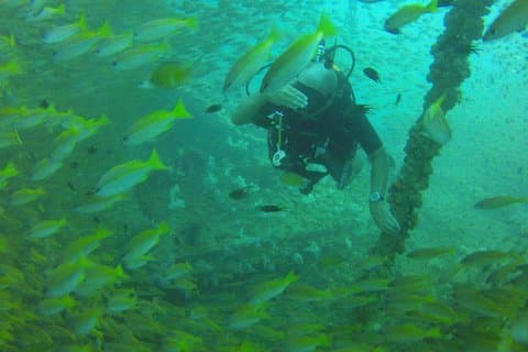 Tauchausflug zum King Cruiser Wrack von Phuket