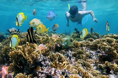 St Thomas~St John Snorkel, baignade et plage sur MV Island Flyer