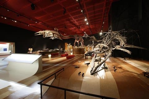 Bilhete de entrada para o Museu de Carvão e Fóssil