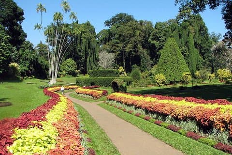 Auto e autista in Sri Lanka Tour di 8 giorni con alloggi