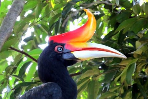 Visite des jardins et des parcs depuis Kuala Lumpur